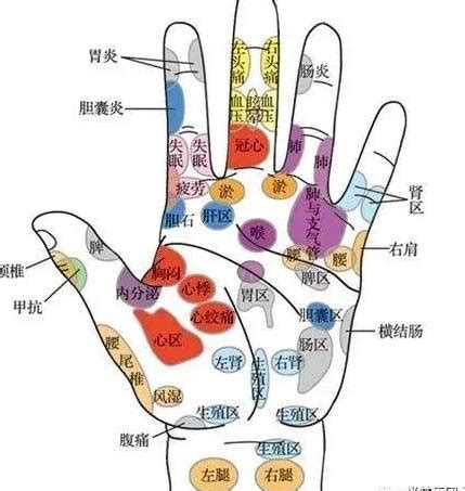 中指代表器官|看五指，知五脏，手指对应人体各个系统，赶快对照看看自己的手。